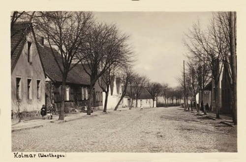 nowe-17472.jpg