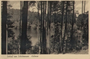 Chodzież jezioro - Reprodukcja 17476