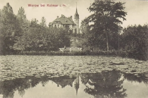 Chodzież - Reprodukcja 17482