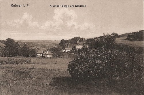 nowe-17494.jpg