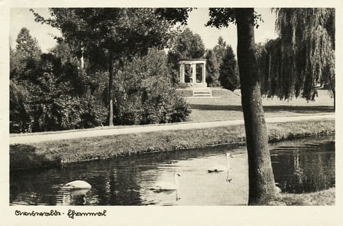 nowe-17572.jpg