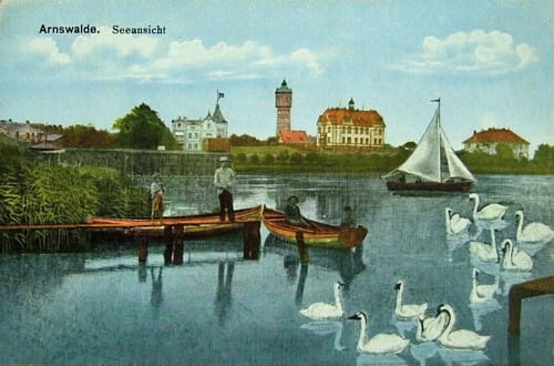 nowe-17584.jpg