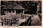Gniezno Park - Reprodukcja 1220