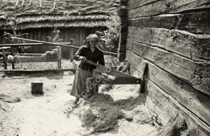 Hordyszcze koło Pińska - Reprodukcja 3472