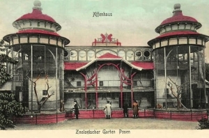 Poznań Ogród Zoologiczny - Reprodukcja 5428