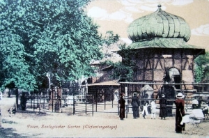 Poznań Ogród Zoologiczny - Reprodukcja 5445