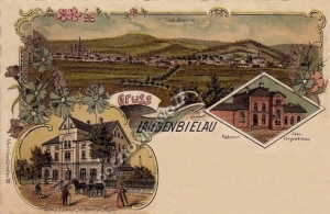 Bielawa Litografia - Reprodukcja 2352