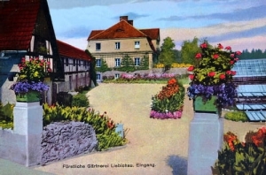 Wałbrzych Palmiarnia - Reprodukcja 1699