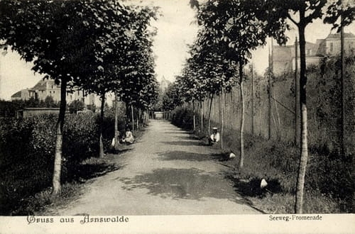 nowe-17606.jpg