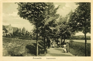 Choszczno - Reprodukcja 17610