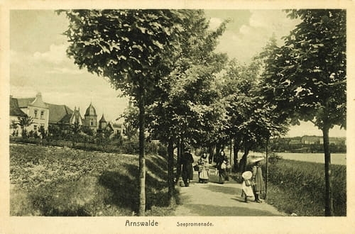 nowe-17610.jpg