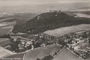 Grodziec Zamek - Reprodukcja 15807