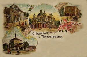 Trzemeszno widokowa - Reprodukcja 17716