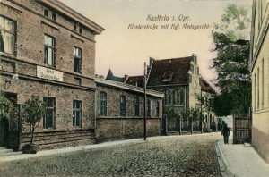 Zalewo sąd - Reprodukcja 17783