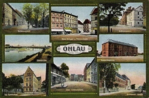 Oława widokowa - Reprodukcja 17815