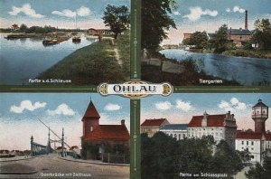 Oława widokowa - Reprodukcja 17818