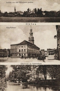 Oława widokowa - Reprodukcja 17819