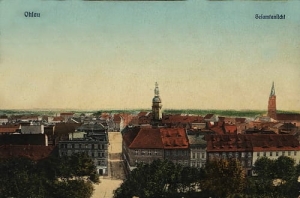 Oława panorama - Reprodukcja 17824