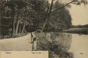 Oława park - Reprodukcja 17826