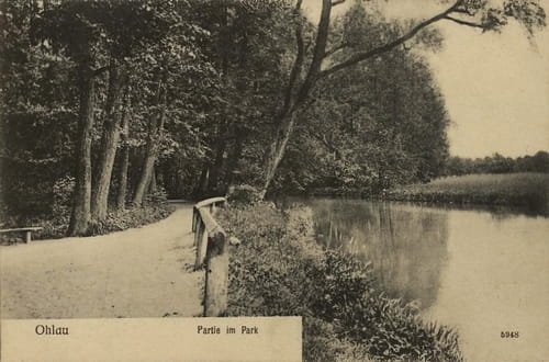 nowe-17826.jpg