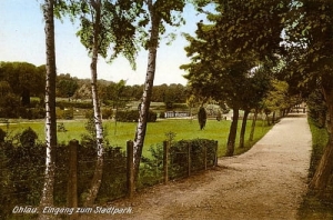 Oława park - Reprodukcja 17828