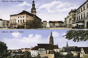 Oława widokowa - Reprodukcja 17834