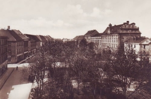 Oława - Reprodukcja 17839