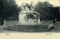 nowe-17847.jpg
