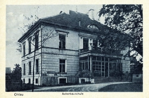 nowe-17848.jpg