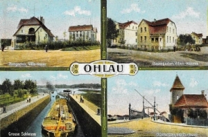 Oława widokowa - Reprodukcja 17872