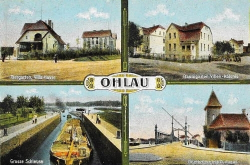 nowe-17872.jpg
