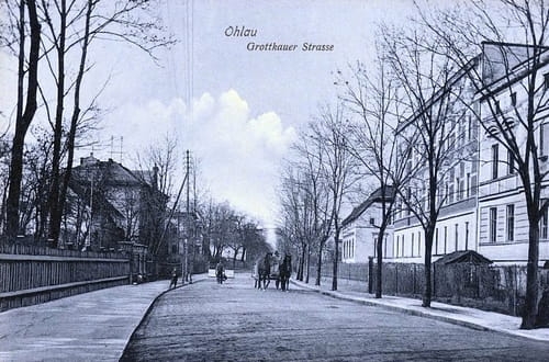 nowe-17880.jpg