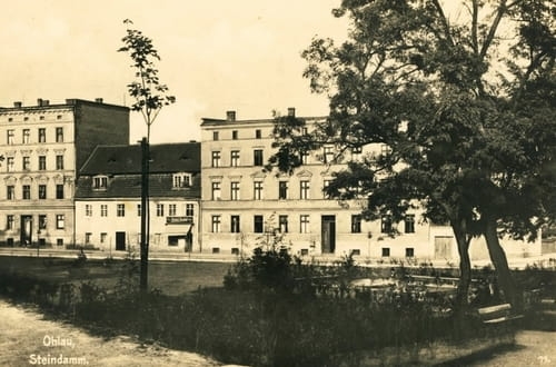 nowe-17887.jpg