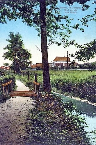 nowe-17930.jpg