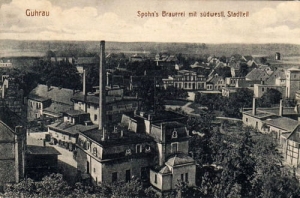 Góra panorama - Reprodukcja 17937