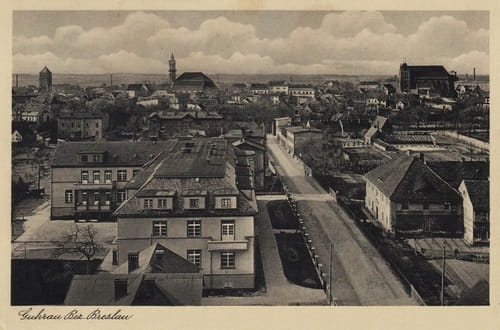 nowe-17938.jpg
