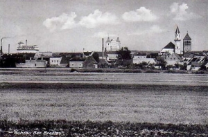 Góra panorama - Reprodukcja 17941