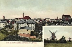 Góra panorama wiatraki - Reprodukcja 17944