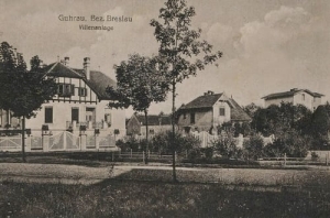Góra dzielnica willowa - Reprodukcja 17984