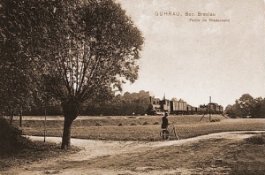 Góra - Reprodukcja 17992