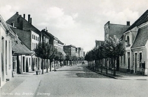 Góra Steinweg - Reprodukcja 17994