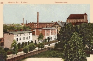 Góra Promenadenstr. - Reprodukcja 17996
