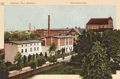 nowe-17996.jpg