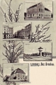 nowe-18007.jpg