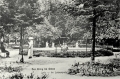 nowe-18073.jpg