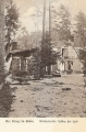 nowe-18111.jpg