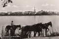 nowe-18118.jpg