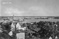 nowe-18128.jpg