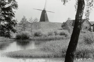 Ełk wiatrak - Reprodukcja 18176