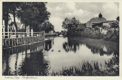 nowe-18214.jpg